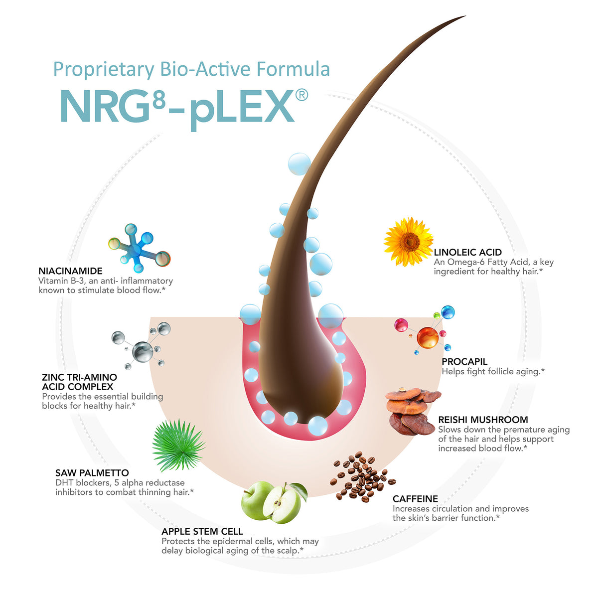 HairMax Density Haircare Shampoo & Conditioner 10 oz Shampoo Zone